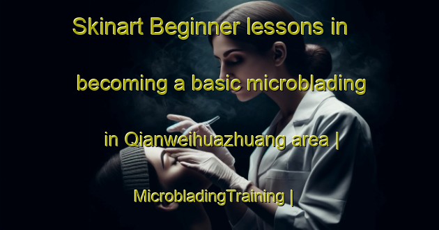 Skinart Beginner lessons in becoming a basic microblading in Qianweihuazhuang area | MicrobladingTraining | MicrobladingClasses | SkinartTraining-China